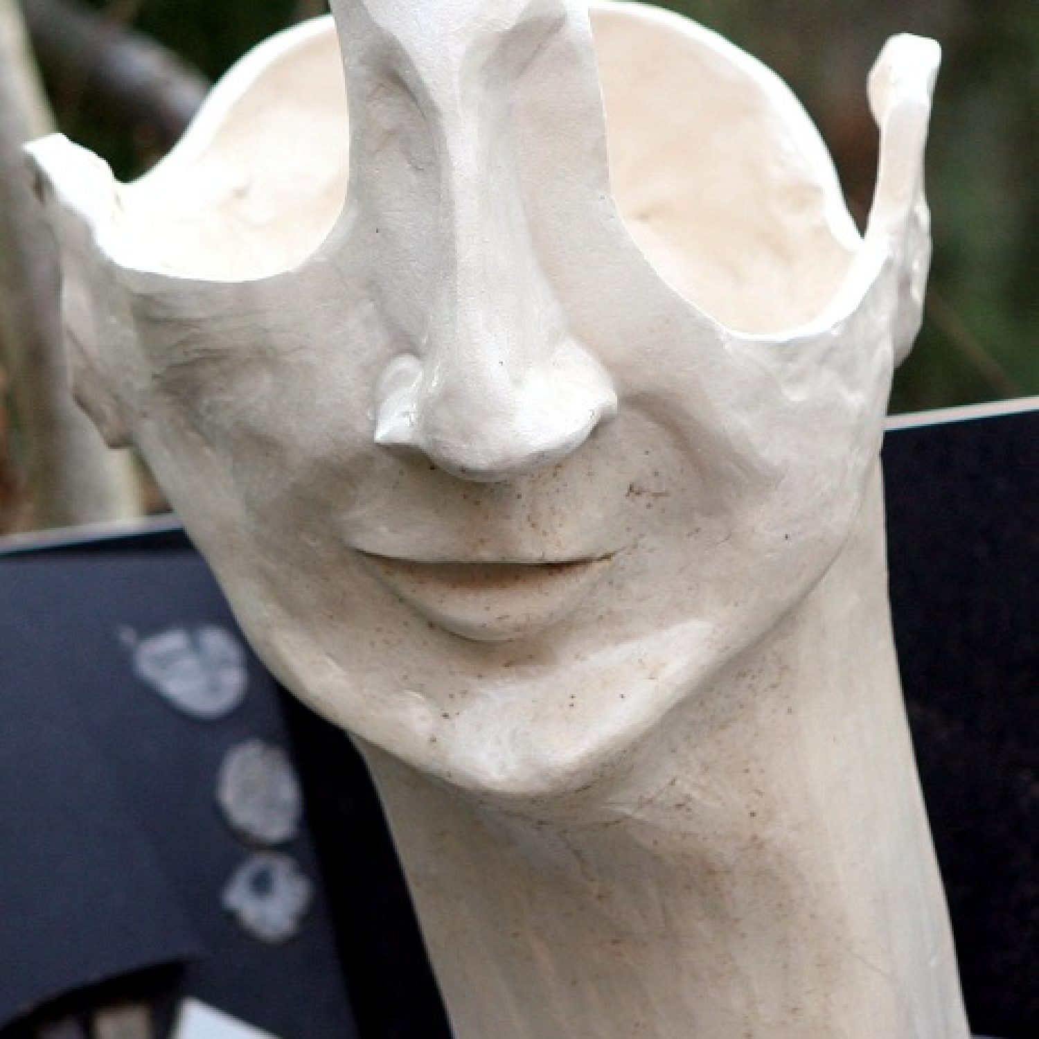 221 - reduziert -reduced